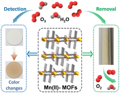 Graphical abstract: Visible ozone detection and removal in two-dimensional Mn(ii)-based metal–organic frameworks