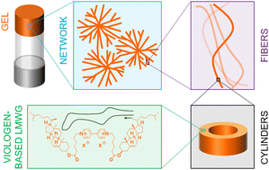 Graphical abstract: Chiral and conductive viologen-based supramolecular gels exhibiting tunable charge-transfer properties