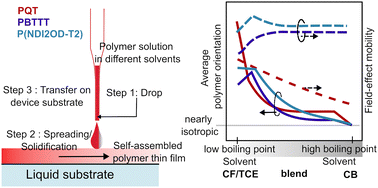 Graphical abstract: The role of solvents in the microstructure and charge transport of semiconducting polymer films prepared at the air–liquid interface