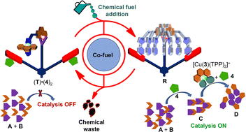 Graphical abstract: Dissipative sequential catalysis via six-component machinery