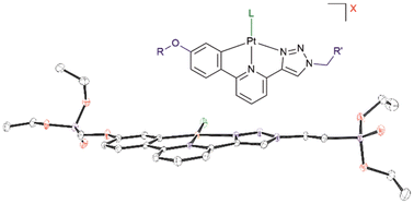 Graphical abstract: Water-soluble luminescent platinum(ii) complexes for guanine quadruplex binding