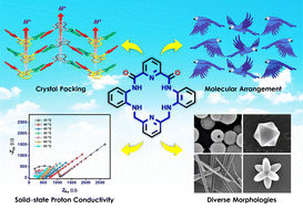 Graphical abstract: Self-assembly of water-filled molecular saddles to generate diverse morphologies and high proton conductivity