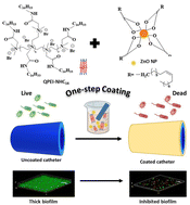 Graphical abstract: Antimicrobial nanocomposite coatings for rapid intervention against catheter-associated urinary tract infections