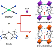 Graphical abstract: Synthesis of Hofmann-based metal–organic frameworks incorporating a bis-pyrazole linker for various gas separations