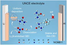 Graphical abstract: Tailoring solvation chemistry by hydrogen bonds in carbonate electrolytes for highly stable lithium-metal batteries
