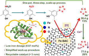 Graphical abstract: Iron single-atom anchored N-doped carbon: an efficient catalyst for one-pot, scaled-up pentazolate synthesis
