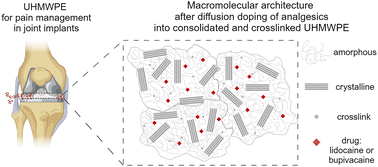 Graphical abstract: Diffusion doping of analgesics into UHMWPE for prophylactic pain management