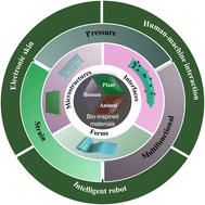 Graphical abstract: The role of bio-inspired micro-/nano-structures in flexible tactile sensors