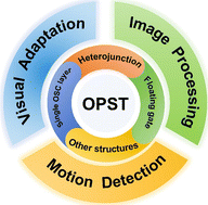 Graphical abstract: Recent progress of organic photonic synaptic transistors for artificial visual systems: structure configuration and innovative applications