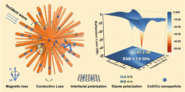 Graphical abstract: Construction of urchin-like porous Co/CoO/C composites enabling high-performance wideband electromagnetic wave absorption