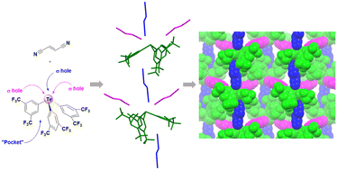 Graphical abstract: Supramolecular assemblies involving triaryltelluronium cations: combining chalcogen bonding, hydrogen bonding and lone pair–π interactions