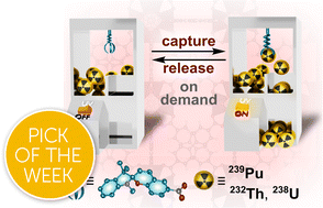 Graphical abstract: Stimuli-responsive photoswitch–actinide binding: a match made in MOFs