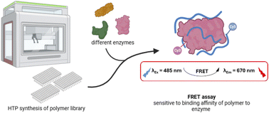 Graphical abstract: High throughput screening for the design of protein binding polymers