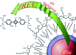 Graphical abstract: CdSe nanocrystal based chem-/bio- sensors