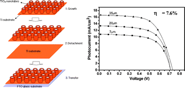 Graphical abstract: Growth, detachment and transfer of highly-ordered TiO2nanotube arrays: use in dye-sensitized solar cells