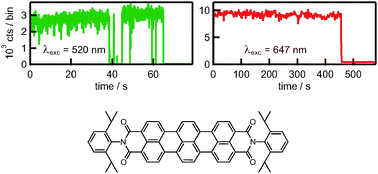 Graphical abstract: Photoblinking and photobleaching of rylene diimide dyes