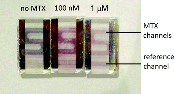 Graphical abstract: Naked-eye nanobiosensor for therapeutic drug monitoring of methotrexate