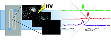 Graphical abstract: Automated sample preparation in a microfluidic culture device for cellular metabolomics