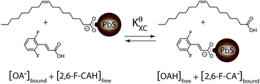 Graphical abstract: In situ spectroscopic characterization of a solution-phase X-type ligand exchange at colloidal lead sulphide quantum dot surfaces