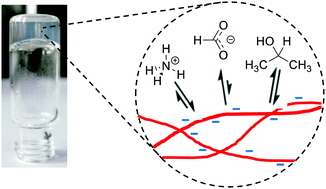 Graphical abstract: Probing the surface chemistry of self-assembled peptide hydrogels using solution-state NMR spectroscopy