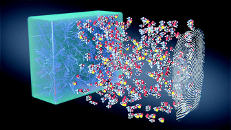 Graphical abstract: Collection of amino acids and DNA from fingerprints using hydrogels