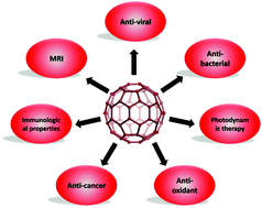 Graphical abstract: Fullerenes in biology and medicine