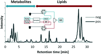 Graphical abstract: Merging metabolomics and lipidomics into one analytical run