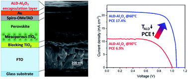 Graphical abstract: Versatile perovskite solar cell encapsulation by low-temperature ALD-Al2O3 with long-term stability improvement