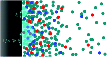 Graphical abstract: Electrolyte solutions at heterogeneously charged substrates