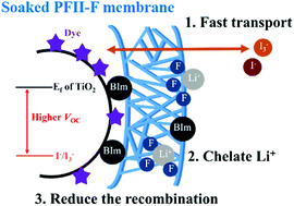 Graphical abstract: Electrospun membranes of imidazole-grafted PVDF-HFP polymeric ionic liquids for highly efficient quasi-solid-state dye-sensitized solar cells