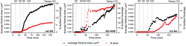 Graphical abstract: In situ study of strontium segregation in La0.6Sr0.4Co0.2Fe0.8O3−δ in ambient atmospheres using high-temperature environmental scanning electron microscopy