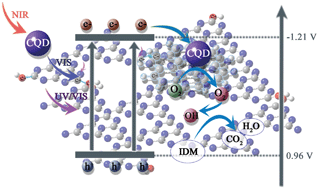 Graphical abstract: Template-free synthesis of oxygen-containing ultrathin porous carbon quantum dots/g-C3N4 with superior photocatalytic activity for PPCPs remediation