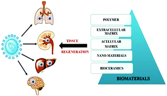 Graphical abstract: SARS-CoV-2 and tissue damage: current insights and biomaterial-based therapeutic strategies