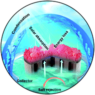 Graphical abstract: Recent advances in solar-driven evaporation systems