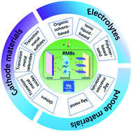 Graphical abstract: Advances in rechargeable Mg batteries