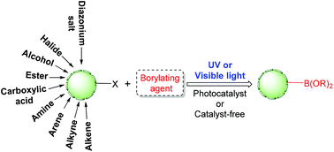 Graphical abstract: Light-induced borylation: developments and mechanistic insights