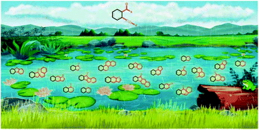 Graphical abstract: Utilization of ortho-alkynylarylcarbonyl derivatives for creating structurally diverse chemical compounds