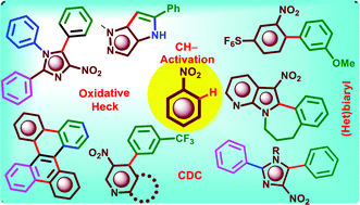 Graphical abstract: C–H activation reactions of nitroarenes: current status and outlook