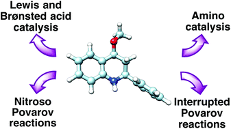 Graphical abstract: Enantioselective catalytic Povarov reactions