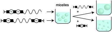 Graphical abstract: Co-assembly of precision polyurethane ionomers reveals role of and interplay between individual components