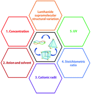 Graphical abstract: Structural variation of self-assembled lanthanide supramolecular complexes induced by reaction conditions