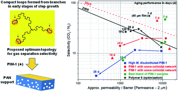 Graphical abstract: Importance of small loops within PIM-1 topology on gas separation selectivity in thin film composite membranes