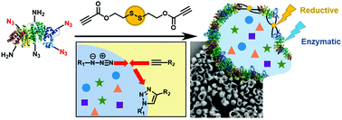 Graphical abstract: Multicomponent encapsulation into fully degradable protein nanocarriers via interfacial azide–alkyne click reaction in miniemulsion allows the co-delivery of immunotherapeutics