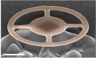 Graphical abstract: Coupling spin defects in hexagonal boron nitride to titanium dioxide ring resonators