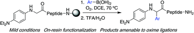 Graphical abstract: On-resin Cα-functionalization of N-arylglycinyl peptides with boronic acids