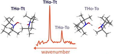 Graphical abstract: Hydrogen sharing between two nitroxyl radicals in the gas phase and other microsolvation effects on the infrared spectrum of a bulky hydroxylamine