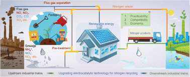 Graphical abstract: Electrocatalysis of nitrogen pollution: transforming nitrogen waste into high-value chemicals