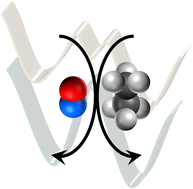 Graphical abstract: Bimolecular collision outcomes on multidimensional potential energy surfaces: infrared spectroscopy and activation of NO–alkane collision complexes