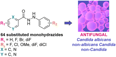 Graphical abstract: Discovery and development of novel substituted monohydrazides as potent antifungal agents