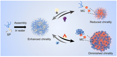 Graphical abstract: Supramolecular assembly of dendronized spiropyrans in aqueous solutions into nanospheres with photo- and thermo-responsive chiralities